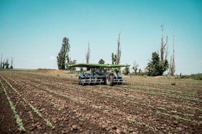 FarmDroid FD20 im Feldeinsatz